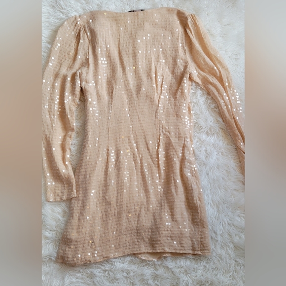 Forever 21 Rose Champagne Sequin Cocktail Dress - Picture 3 of 11